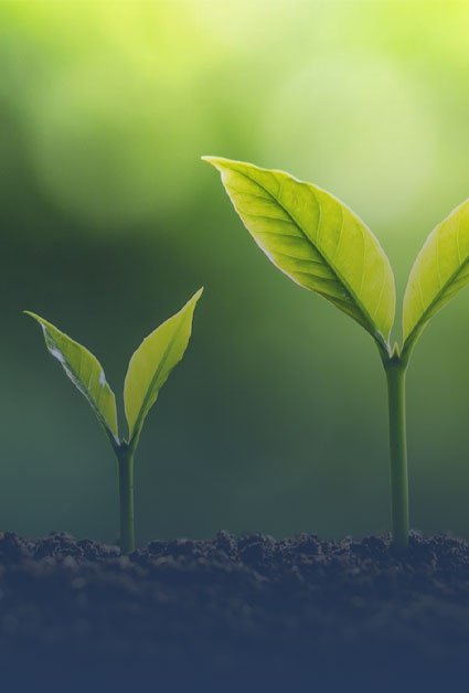 LETS GROW TOGETHER