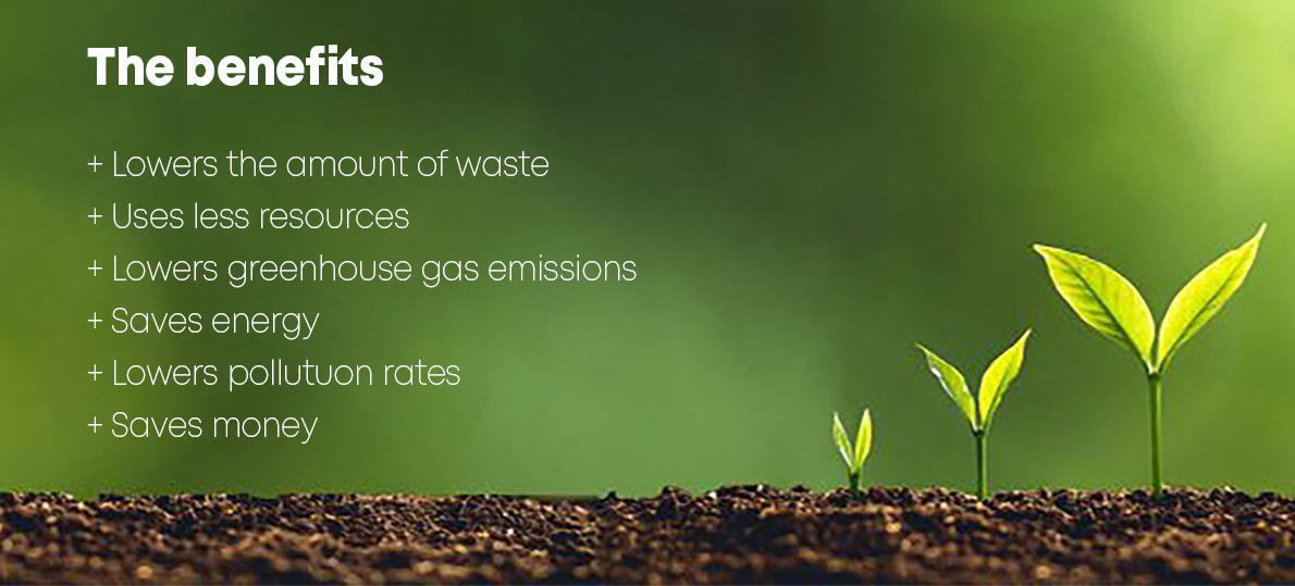 benefits soil plant saplings