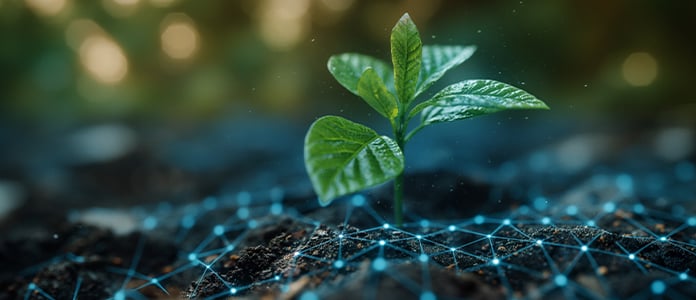 plant technology analysis