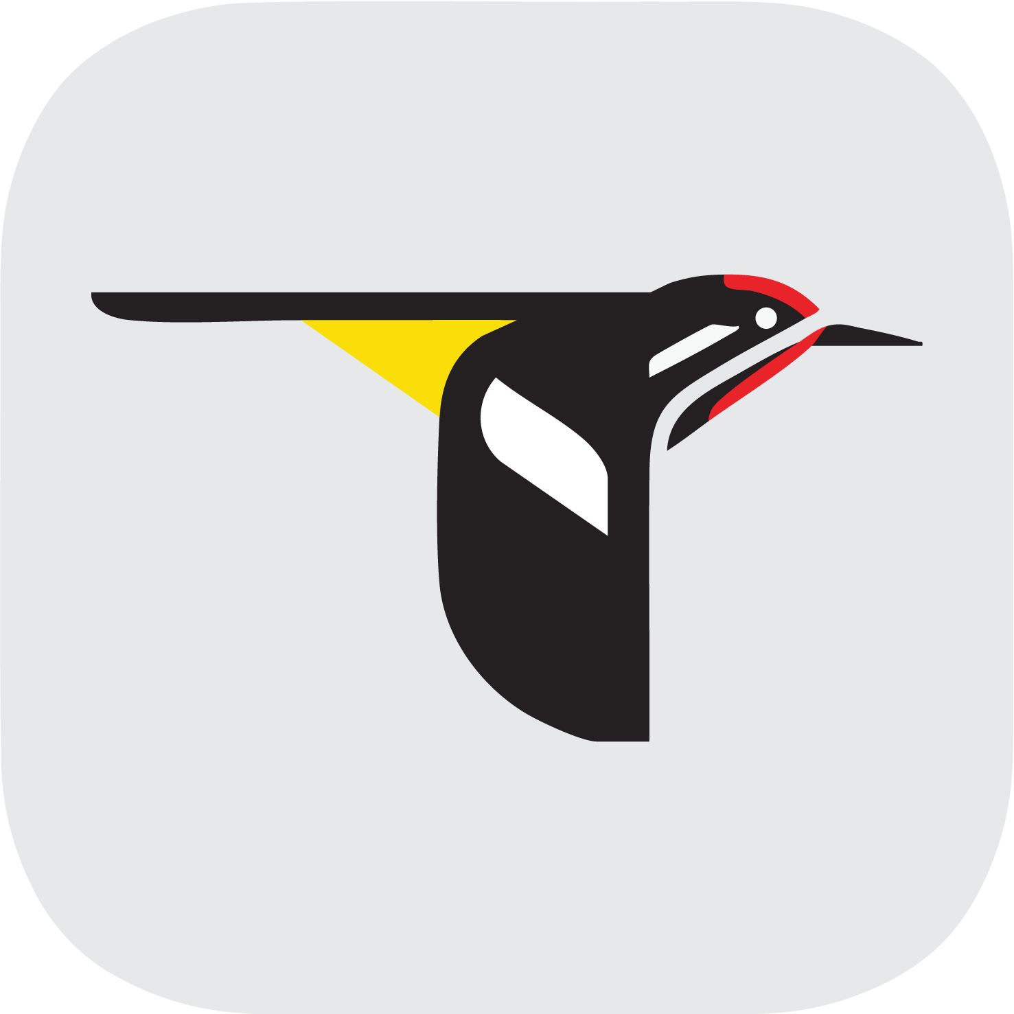 merlin bird id app