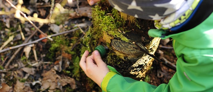 geocache discover