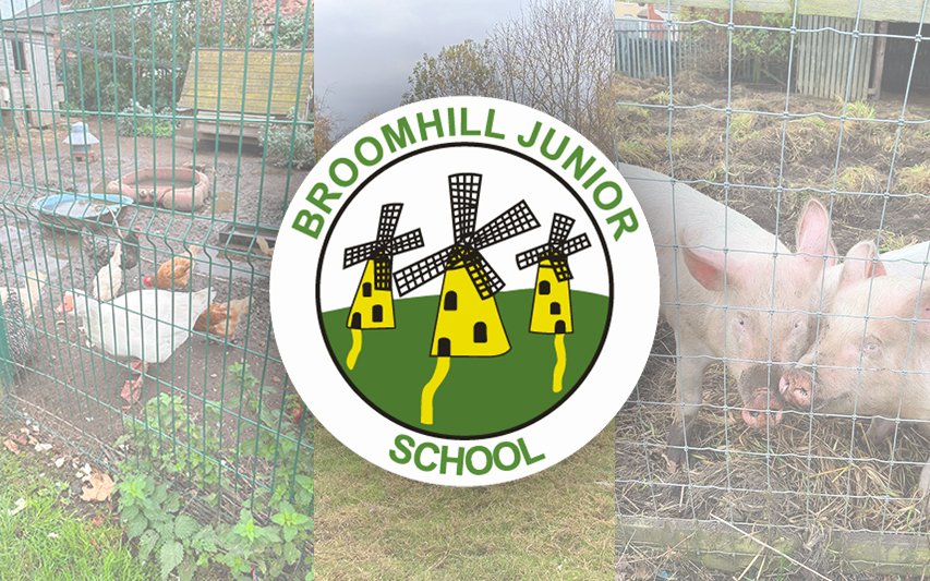 Inspiring the Next Generation of Eco Champions: Green Flag Journey with Broomhill Junior School