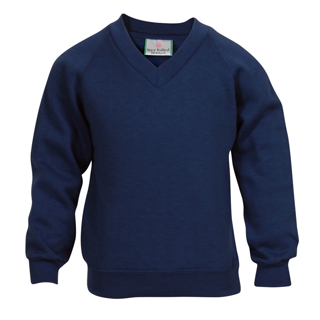 School V-Neck Sweatshirt