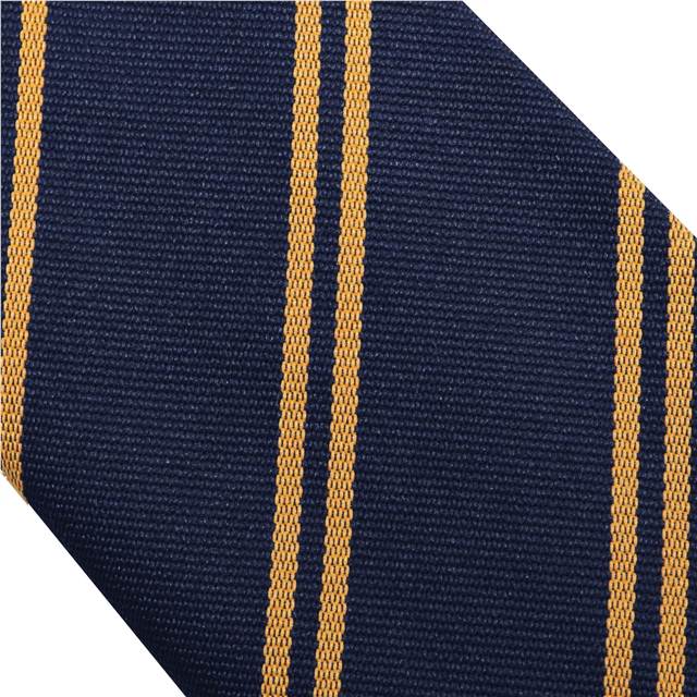 Double Stripe School Tie