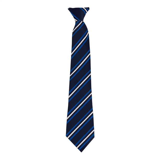 Worle Community School Academy Main School Stripe Tie