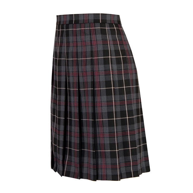 The John Wallis Academy Tartan Knife Pleat Skirt