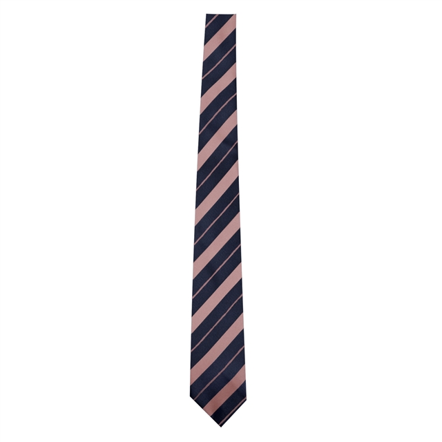 Pimlico Academy Tie - Compulsory 