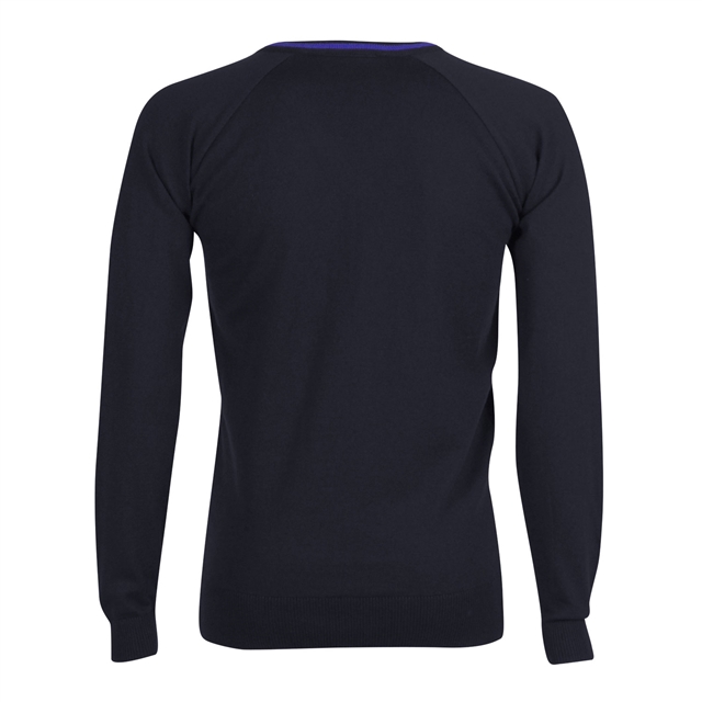 Backwell Secondary School V-Neck Jumper with Stripe - Cotswold (Navy/DkRoyal)
