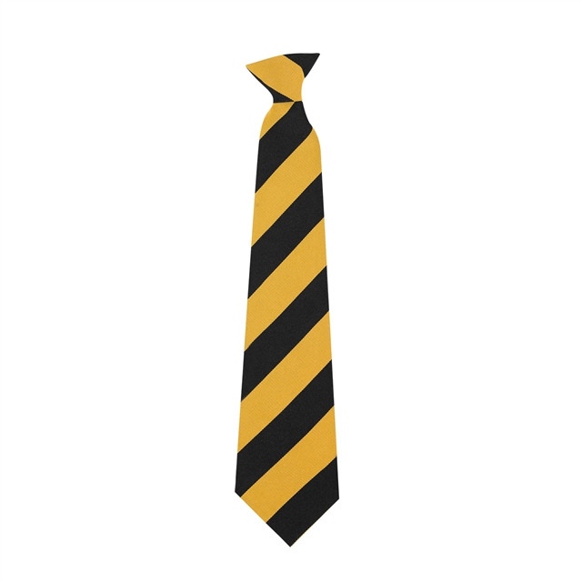 Ditton Park Academy Clip on Tie