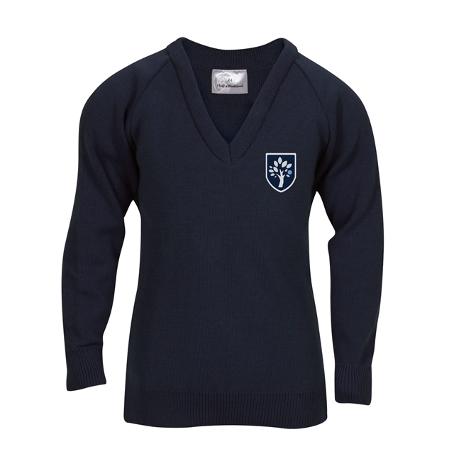 Millbank Gardens Academy V-Neck Jumper