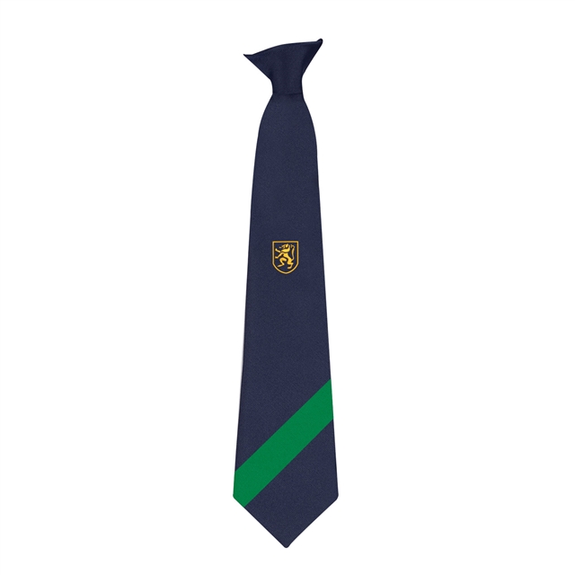 Rainhill High School Perseverance House Tie - Green