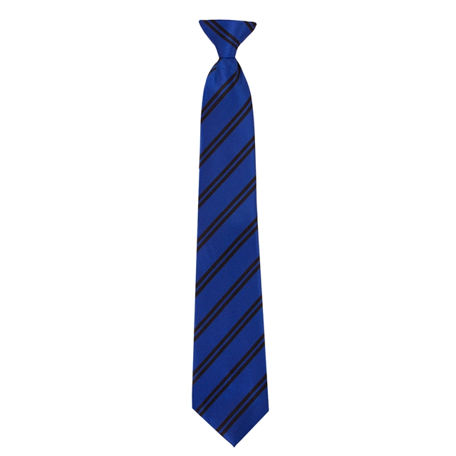 Springwood High School House Tie - Holkham (Royal)