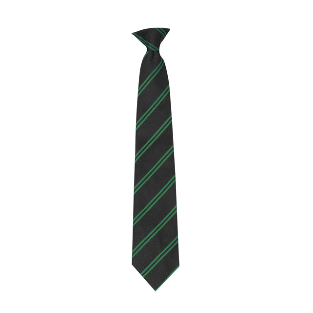 The King Alfred School Academy Brent (Emerald) House Tie