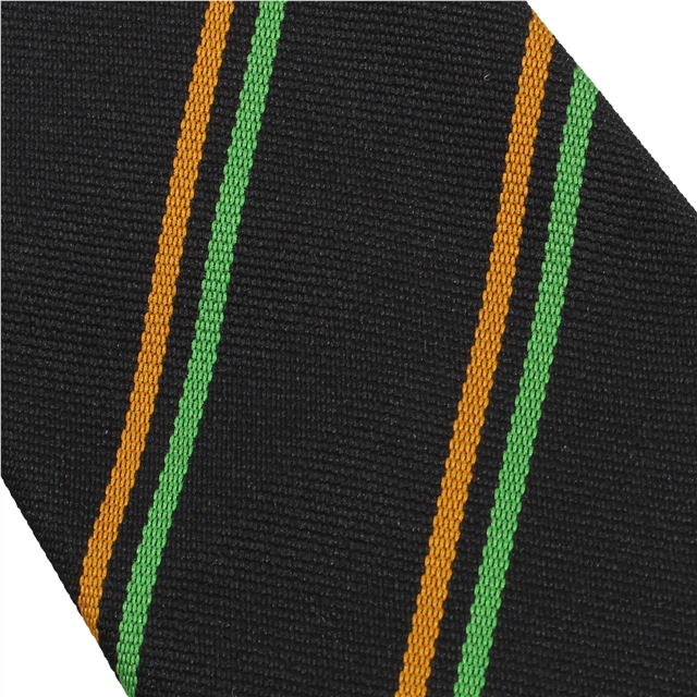 GTS Academy House Tie - Endurance - Gold/Emerald