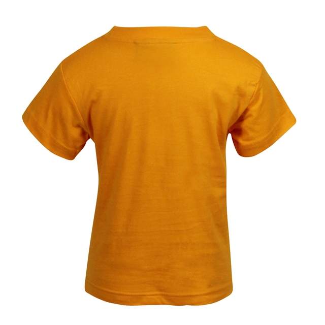 Bishops Hull Primary School PE T-Shirt