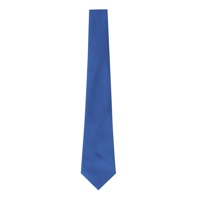 Pewsey Vale School Plain Sapphire Tie