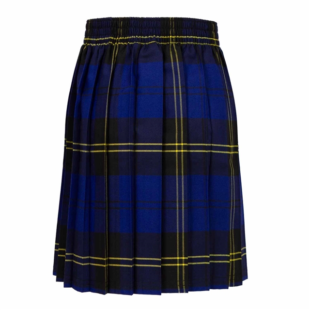 Charles Darwin Primary & Nursery School Tartan Skirt
