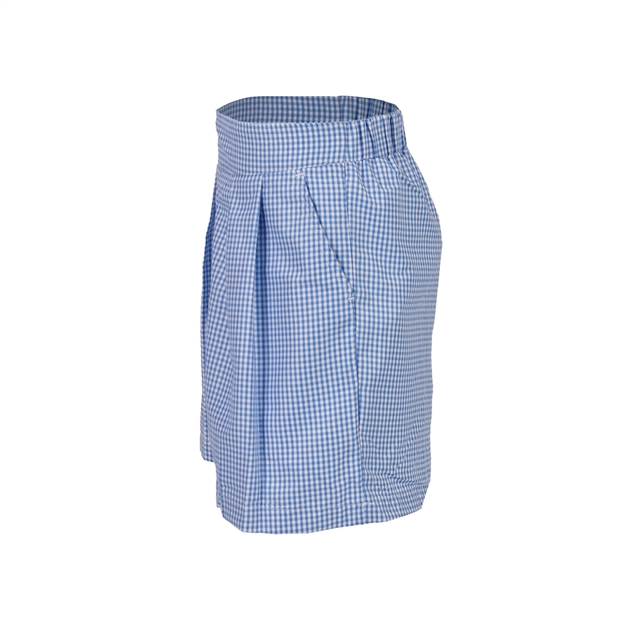 Light Blue Gingham School Shorts
