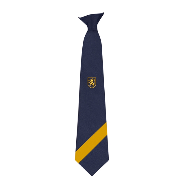 Rainhill High School Sans Pareil House Tie - Yellow