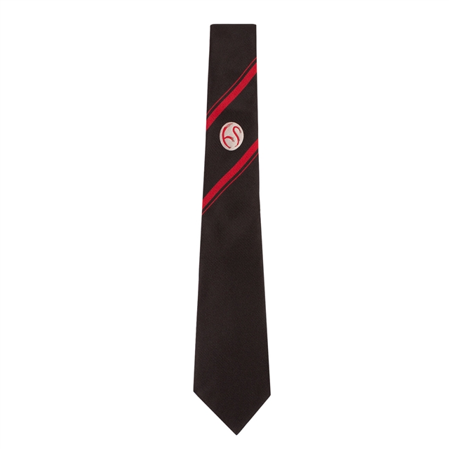Hampstead School Tie - Year 11 September 2026