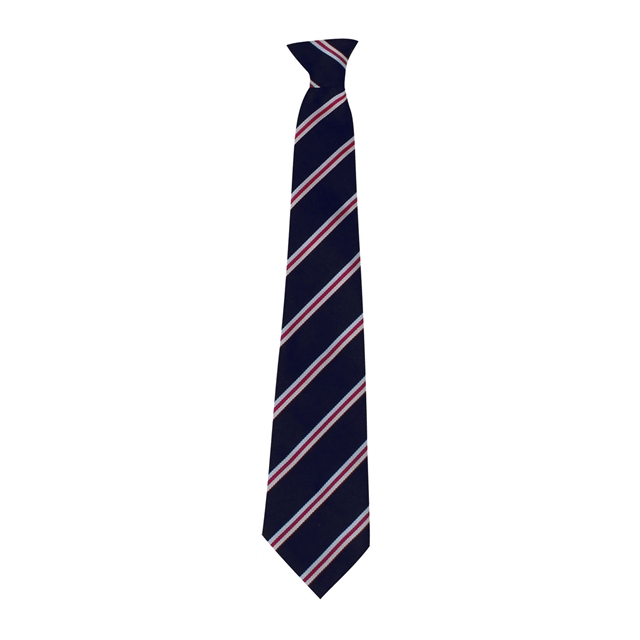 Bedale High School Swale House Tie  - Red