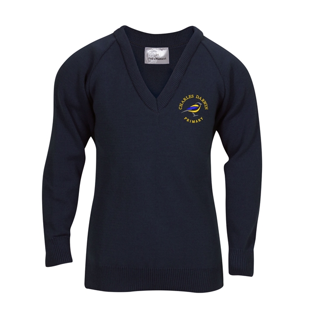 Charles Darwin Primary V-Neck Jumper