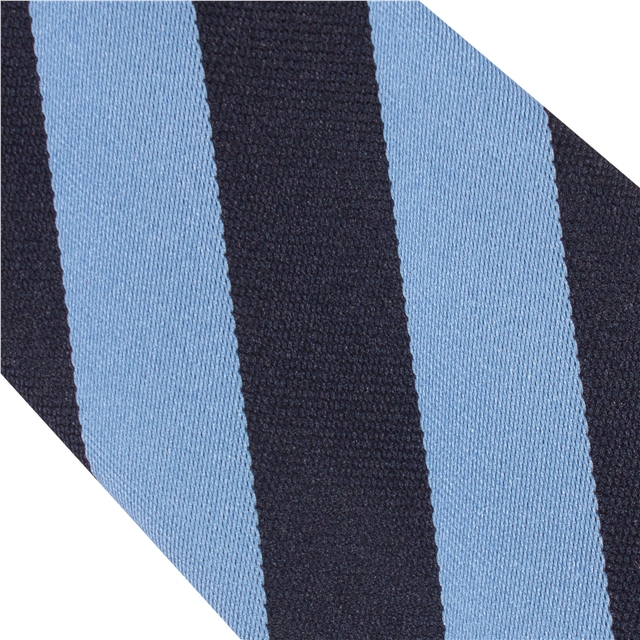 Cape Cornwall School Tie
