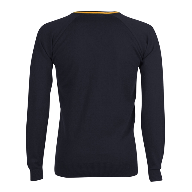 Backwell Secondary School V-Neck Jumper with Stripe - Quantock (Navy/Amber)