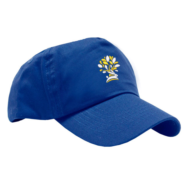 Warren Mead Schools Baseball Cap