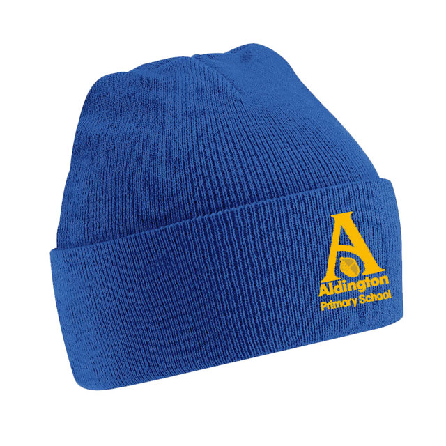 Aldington Primary Knitted Hat