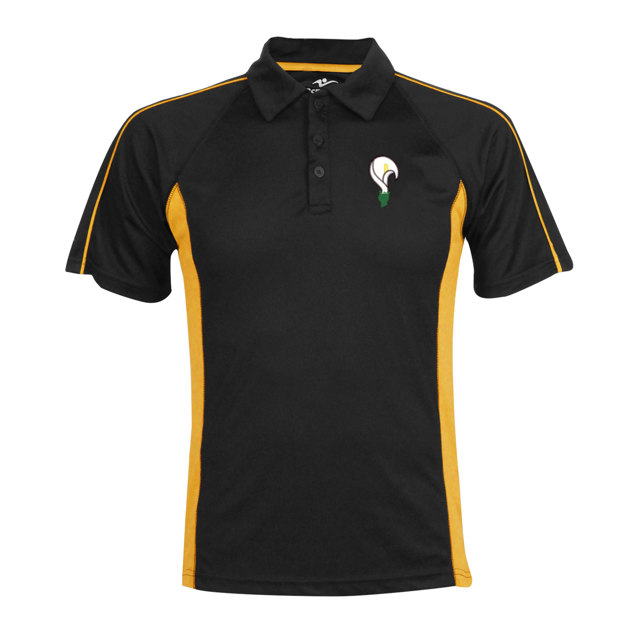 St Josephs RC Sports Polo Teresa House- Yrs 8-11 Sep 2026