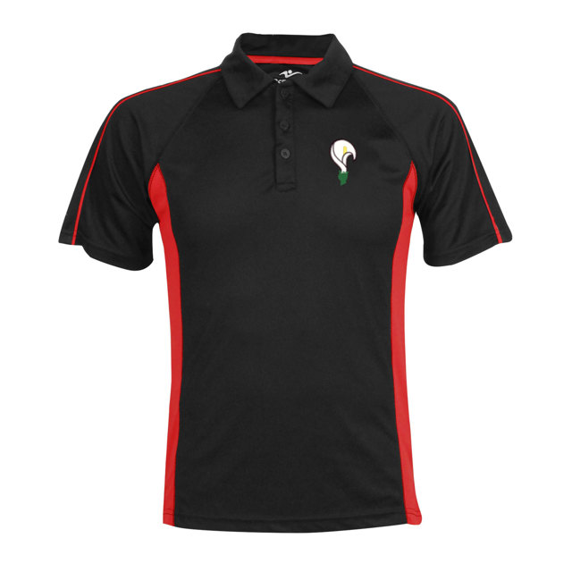 St Josephs RC Sports Polo Vincent House- Yrs 8-11 Sep 2026