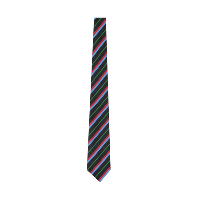 Dyke House College Green Tie