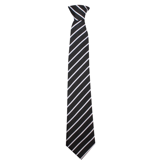 Debenham High School Da Vinci House Tie - White