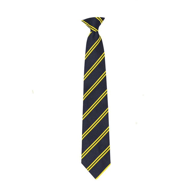 The Charter School Bermondsey Year 9 Tie Navy/Gold (Sept 2026)