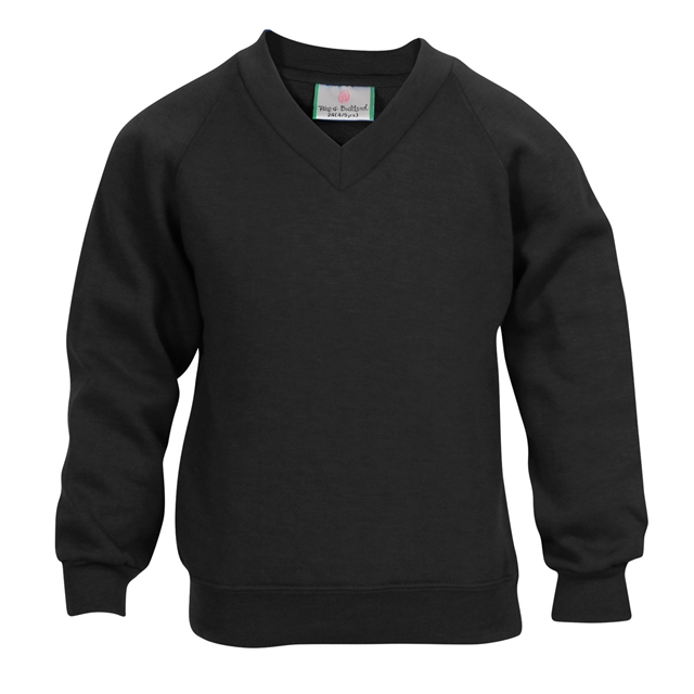 School V-Neck Sweatshirt