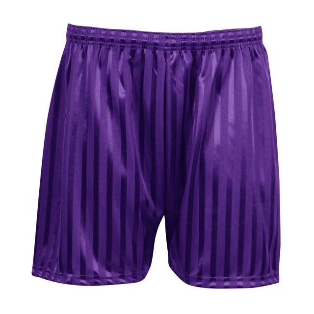Shadow Stripe PE Shorts