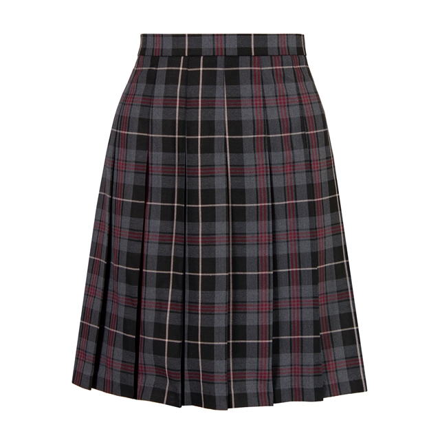 The John Wallis Academy Tartan Knife Pleat Skirt