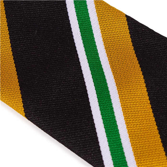 Heritage High School Redgrave House Tie - Green