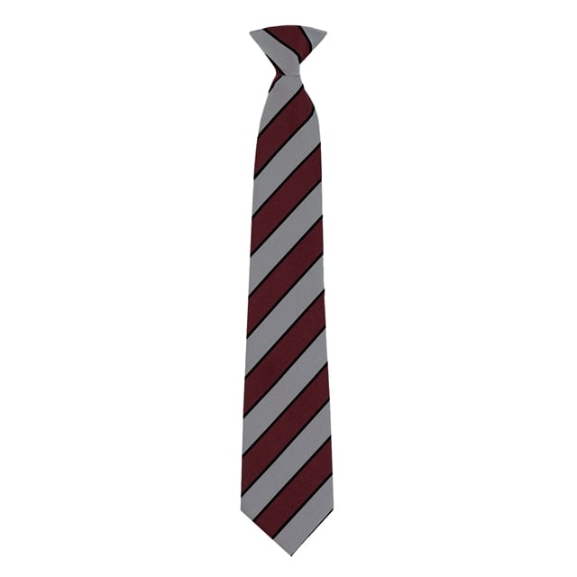All Saints Church of England Academy Tie
