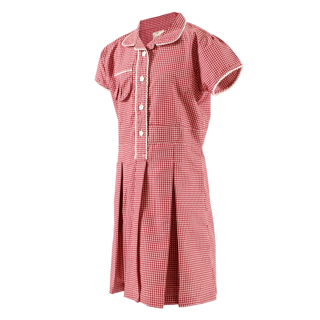 Red Gingham School Summer Dress