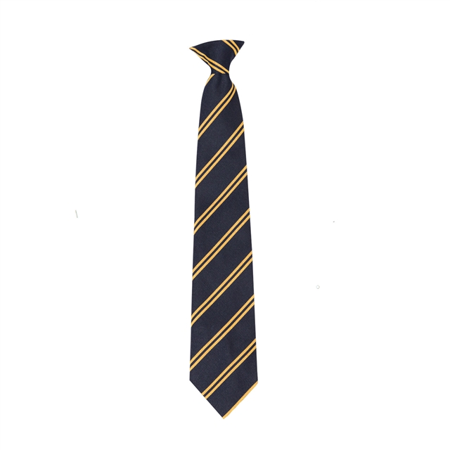 Double Stripe School Tie