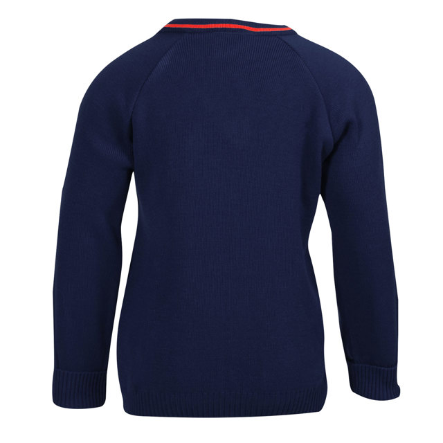 Laburnum Primary School V-Neck Jumper with Stripe
