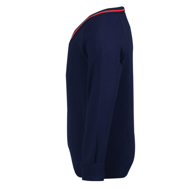 Laburnum Primary School V-Neck Jumper with Stripe