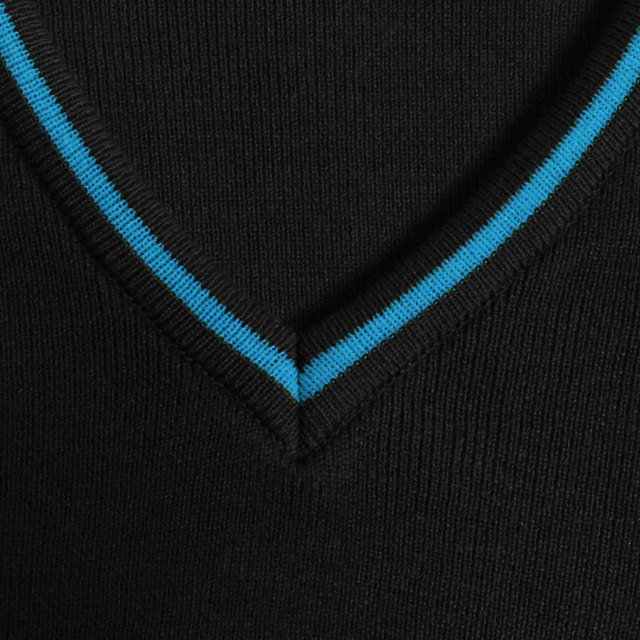 Denefield School Acrylic V-Neck Jumper with Stripe