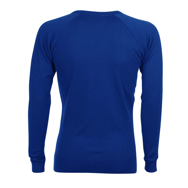 The Burgate School & Sixth Form Centre Fine Knit V-Neck Jumper