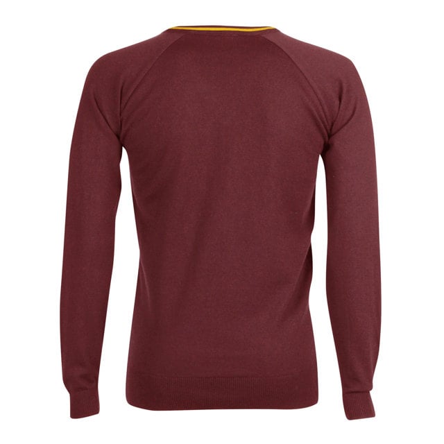 Ellen Wilkinson School Fine Knit Jumper with Stripe