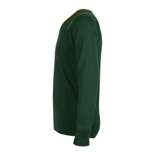 St Illtyds High School Fine Knit Jumper with Stripe