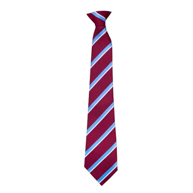 Cromwell Community College Striped Tie