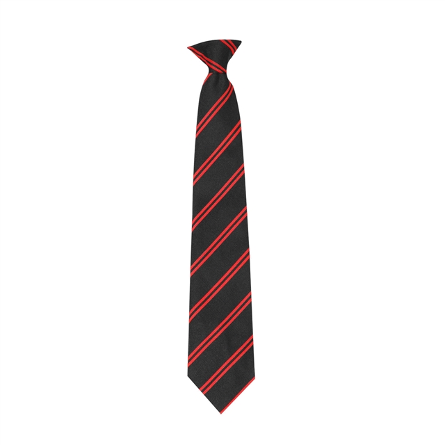 The King Alfred School Academy Steart (Red) House Tie